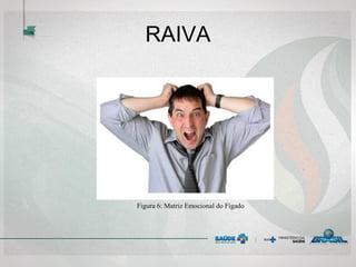 RAIVA
Figura 6: Matriz Emocional do Fígado
 