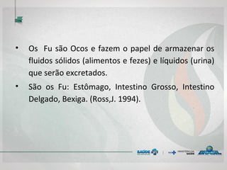 • Os Fu são Ocos e fazem o papel de armazenar os
fluidos sólidos (alimentos e fezes) e líquidos (urina)
que serão excretados.
• São os Fu: Estômago, Intestino Grosso, Intestino
Delgado, Bexiga. (Ross,J. 1994).
 