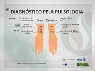 DIAGNÓSTICO PELA PULSOLOGIA
Figura 24: Posição do Zang Fú no Pulso Tradicional Chinês
 
