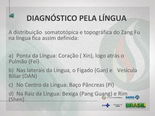 DIAGNÓSTICO PELA LÍNGUA
A distribuição somatotópica e topográfica do Zang Fu
na língua fica assim definida:
a) Ponta da Língua: Coração ( Xin), logo atrás o
Pulmão (Fei)
b) Nas laterais da Língua, o Fígado (Gan) e Vesícula
Biliar (DAN)
c) No Centro da Língua: Baço Pâncreas (PI)
d) Na Raiz da Língua: Bexiga (Pang Guang) e Rim
(Shen)
 