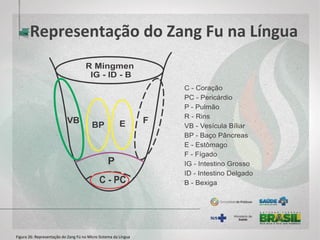 Representação do Zang Fu na Língua
Figura 26: Representação do Zang Fú no Micro Sistema da Língua
 
