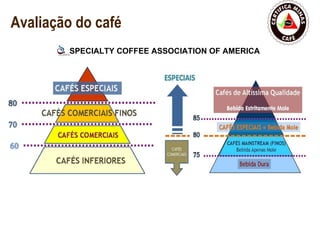 Avaliação do café SPECIALTY COFFEE ASSOCIATION OF AMERICA  