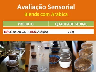 Avaliação Sensorial Blends com Arábica 15% 85%  PRODUTO QUALIDADE GLOBAL Conilon CD +  Arábica 7,20 