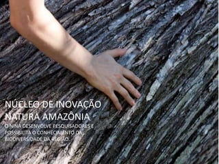 NÚCLEO DE INOVAÇÃO
NATURA AMAZÔNIA
O NINA DESENVOLVE PESQUISADORES E
POSSIBILITA O CONHECIMENTO DA
BIODIVERSIDADE DA REGIÃO.
 