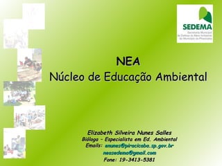 NEA Núcleo de Educação Ambiental Elizabeth Silveira Nunes Salles Bióloga – Especialista em Ed. Ambiental Emails:  [email_address] [email_address] Fone: 19-3413-5381 