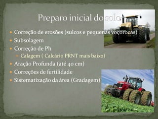  Correção de erosões (sulcos e pequenas voçorocas)
 Subsolagem
 Correção de Ph
   Calagem ( Calcário PRNT mais baixo)
 Aração Profunda (até 40 cm)
 Correções de fertilidade
 Sistematização da área (Gradagem)
 