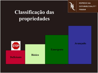 Deficiente
Básico
Emergente
Avançado
Classificação das
propriedades
 