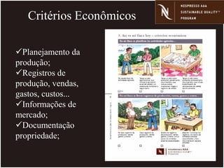 Critérios Econômicos
Planejamento da
produção;
Registros de
produção, vendas,
gastos, custos...
Informações de
mercado;
Documentação
propriedade;
 