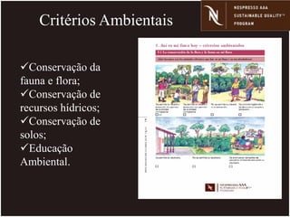 Critérios Ambientais
Conservação da
fauna e flora;
Conservação de
recursos hídricos;
Conservação de
solos;
Educação
Ambiental.
 