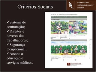 Critérios Sociais
Sistema de
contratação;
Direitos e
deveres dos
trabalhadores;
Segurança
Ocupacional;
Acesso a
educação e
serviços médicos.
 
