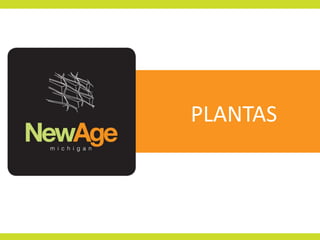 PLANTAS

 