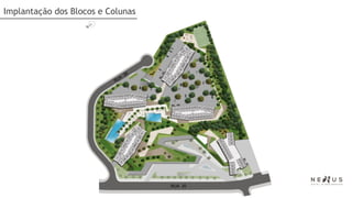 Implantação dos Blocos e Colunas
 