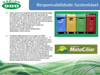 Hoje, possui um programa de gerenciamento legal
de todos os resíduos gerados na operação de
transporte, por meio de parcerias com instituições
e cooperativas, além de outras ações sustentáveis
já realizadas, como o controle de emissão de gases
poluentes, o Programa de Plantio de
Árvores, Educação Ambiental a todos os
colaboradores, promoção à
Segurança, Saúde, Meio Ambiente e
Qualidade, entre outros.

A Rápido 900 patrocinou as ações da ONG
Associação Mata Ciliar, que tem como foco a
conservação, recuperação e preservação do meio
ambiente. Fundada em 1987, a Associação possui
sede em Pedreira (São Paulo) e unidades nas
cidades de Jundiaí, Águas de Lindóia e Bragança
Paulista. Promove ações de conservação ambiental
e um dos seus principais projetos é o “De Olho nos
Rios”, atualmente com patrocínio da Petrobras.
Também é referência na área de reabilitação e
reprodução de fauna com o Centro de Reabilitação
de Animais Silvestres e o Centro Brasileiro para
Conservação de Felinos Neotropicais.
 