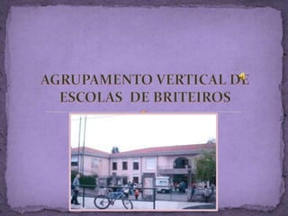 AGRUPAMENTO VERTICAL DE ESCOLAS  DE BRITEIROS 