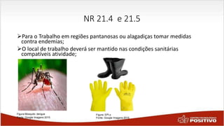 NR 21.4 e 21.5
Para o Trabalho em regiões pantanosas ou alagadiças tomar medidas
contra endemias;
O local de trabalho deverá ser mantido nas condições sanitárias
compatíveis atividade;
Figura:Mosquito dengue
Fonte: Google Imagens 2015
Figura: EPI,s
Fonte: Google Imagens 2015
 