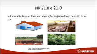 NR 21.8 e 21.9
A moradia deve ser local sem vegetação, arejada e longo deposito feno;
Portas e janelas da casa deve ter fechadura;
Figura: Casa, Confinamento porcos e gado
Fonte: Google Imagens 2015
 