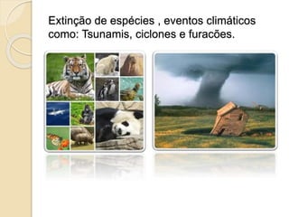 Extinção de espécies , eventos climáticos 
como: Tsunamis, ciclones e furacões. 
 