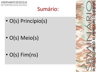 Sumário:

• O(s) Princípio(s)

• O(s) Meio(s)

• O(s) Fim(ns)
 
