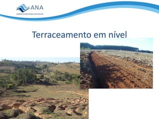 Terraceamento em nível
 