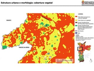 Estrutura urbana e morfologia: cobertura vegetal 