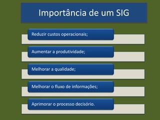 Importância de um SIG
Reduzir custos operacionais;
Aumentar a produtividade;
Melhorar a qualidade;
Melhorar o fluxo de informações;
Aprimorar o processo decisório.
 