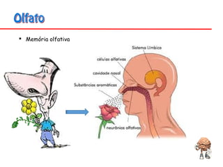  Memória olfativa
 