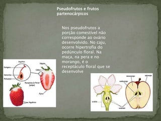 Pseudofrutos e frutos
partenocárpicos


  Nos pseudofrutos a
  porção comestível não
  corresponde ao ovário
  desenvolvido. No caju,
  ocorre hipertrofia do
  pedúnculo floral. Na
  maça, na pera e no
  morango, é o
  receptáculo floral que se
  desenvolve
 