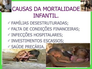 CAUSAS DA MORTALIDADE INFANTIL. FAMÍLIAS DESESTRUTURADAS; FALTA DE CONDIÇÕES FINANCEIRAS; INFECÇÕES HOSPITALARES; INVESTIMENTOS ESCASSOS; SAÚDE PRECÁRIA. 
