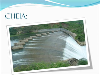 CHEIA: 
