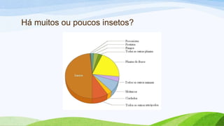 Há muitos ou poucos insetos?
 