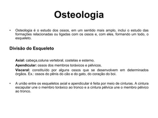 Osteologia ,[object Object],[object Object],[object Object],[object Object],[object Object],[object Object]