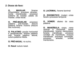 2. Ossos da face: O. MAXILAR : forame infraorbitário, processo alveolar, borda interalveolar, processo palatino do maxilar, palato do maxilar, crista facial. O. PRÉ-MAXILAR : processo palatino pré-maxilar, fissura palatina forame incisivo (fissura dos incisivos). O. PALATINO : porção horizontal e perpendicular, forame palatino oral, forame palatino aboral, sutura palatina média. O. PRÉ-NASAL : no suíno. O. Nasal : sutura nasal. O. LACRIMAL : forame lacrimal O. ZIGOMÁTICO : (malar) crista facial e processo temporal.   O. VOMER : abaixo do osso palatino   O. MANDÍBULA : corpo, ramo vertical e horizontal, borda interalveolar, forame mentoniano, forame mandibular, processo condilar da mandíbula, incisura mandibular, processo coronóide, processo alveolar, sínfise mentoniana.  