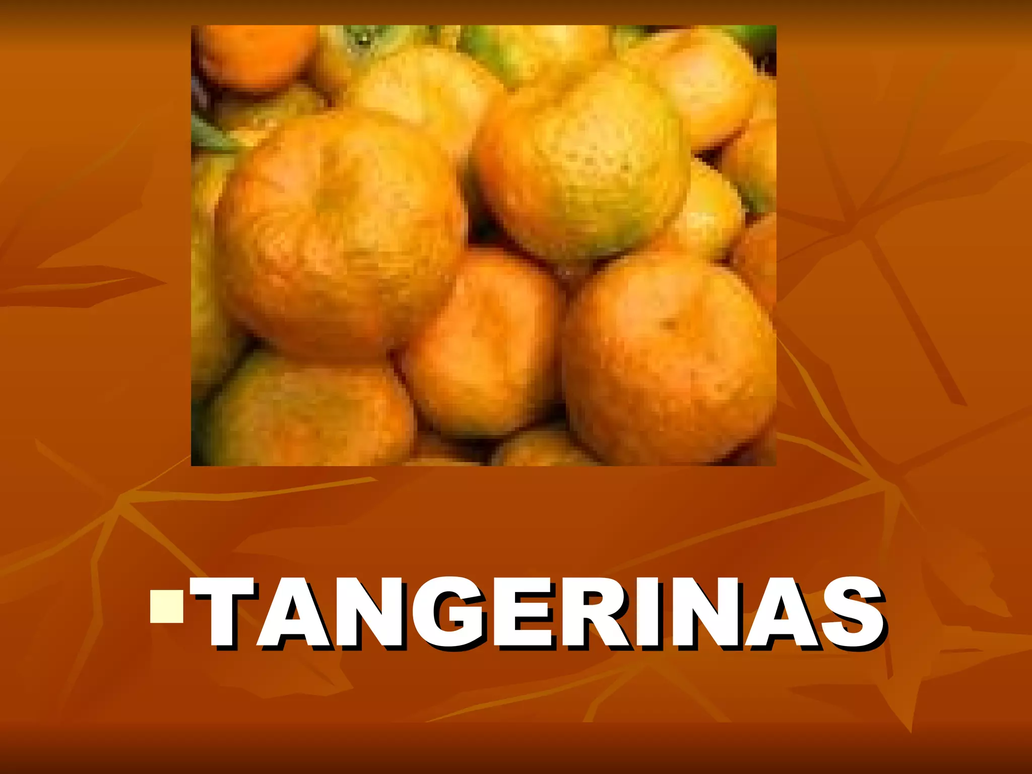 TANGERINAS 