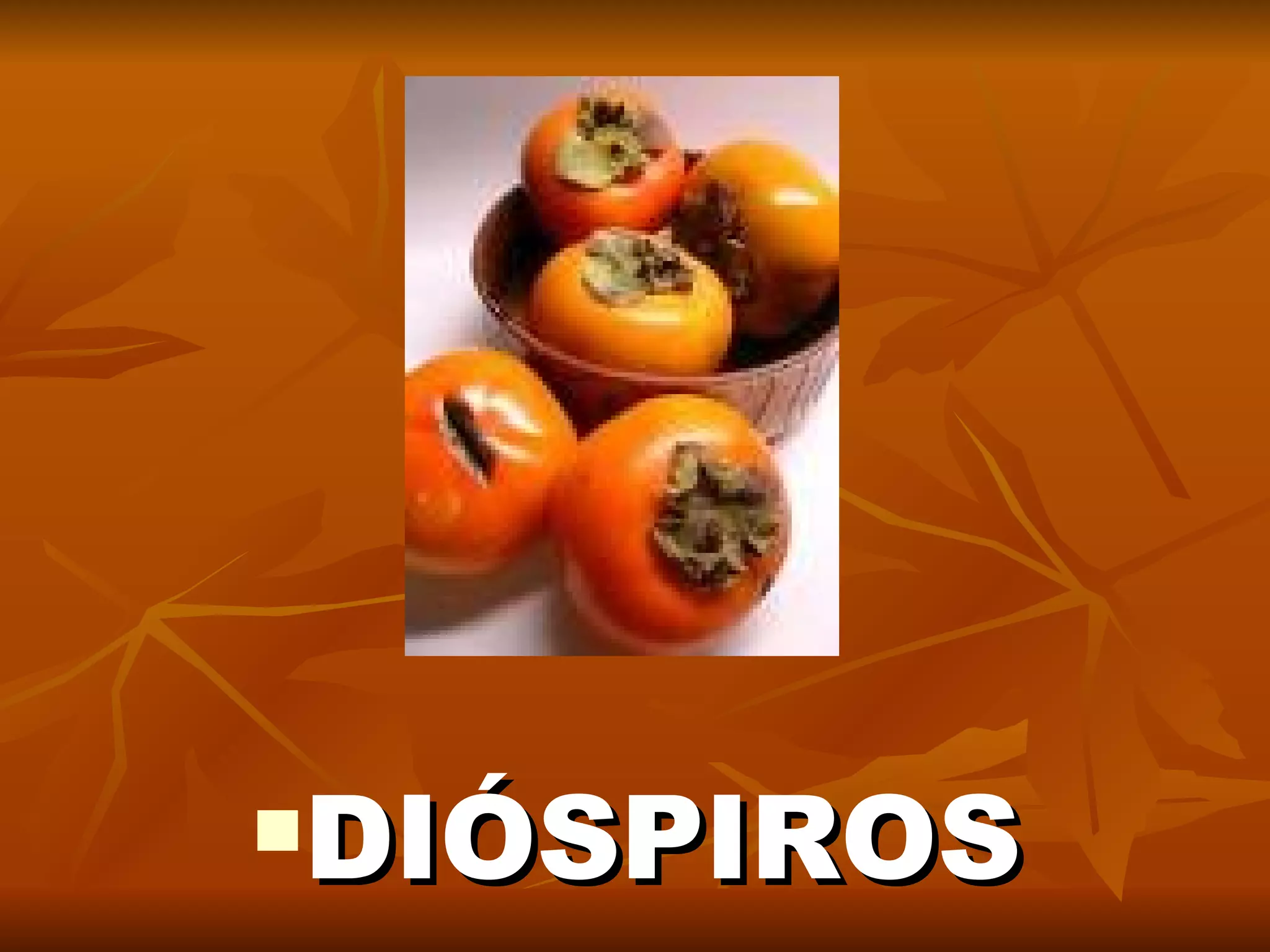 DIÓSPIROS 