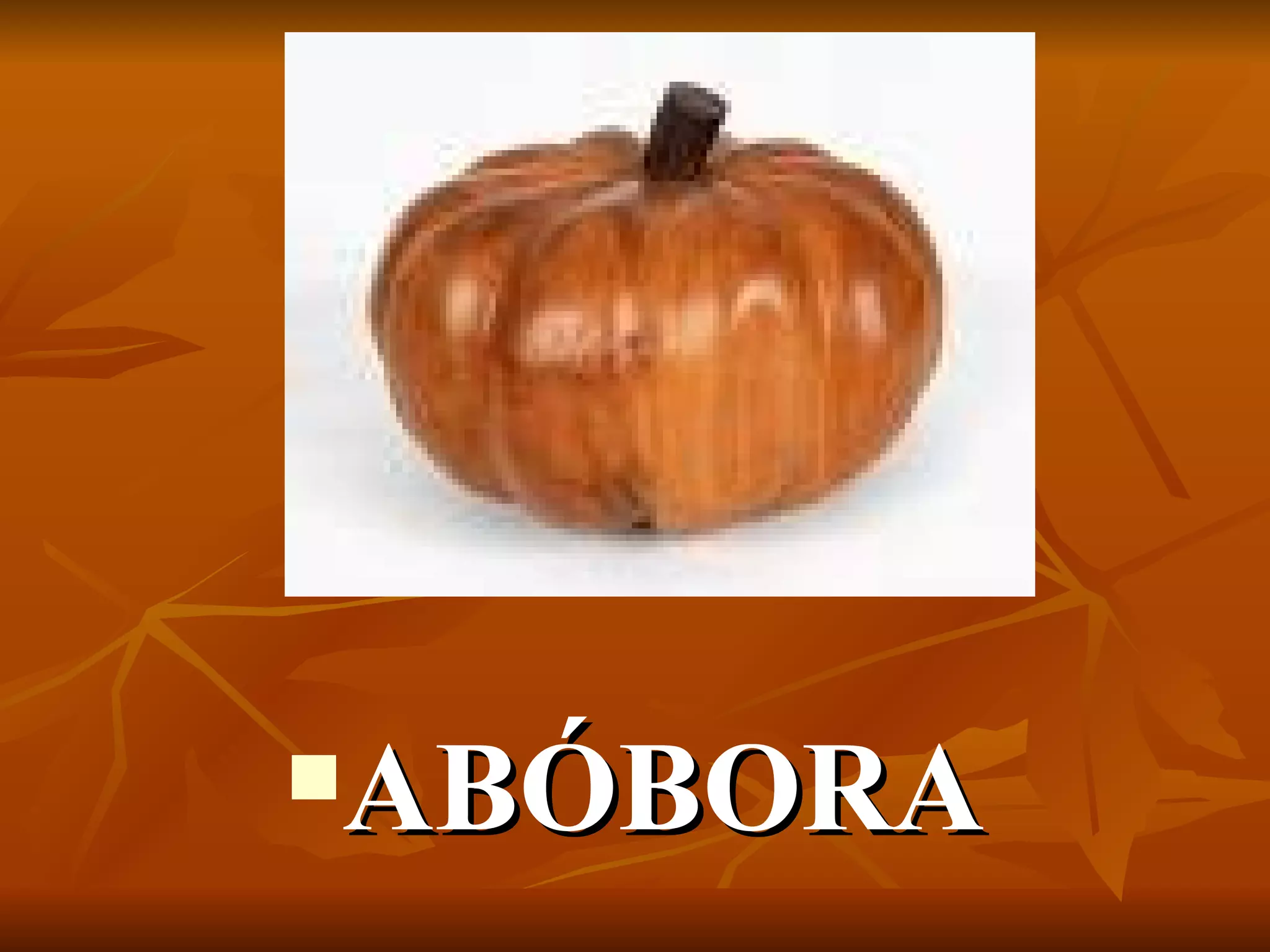 ABÓBORA 