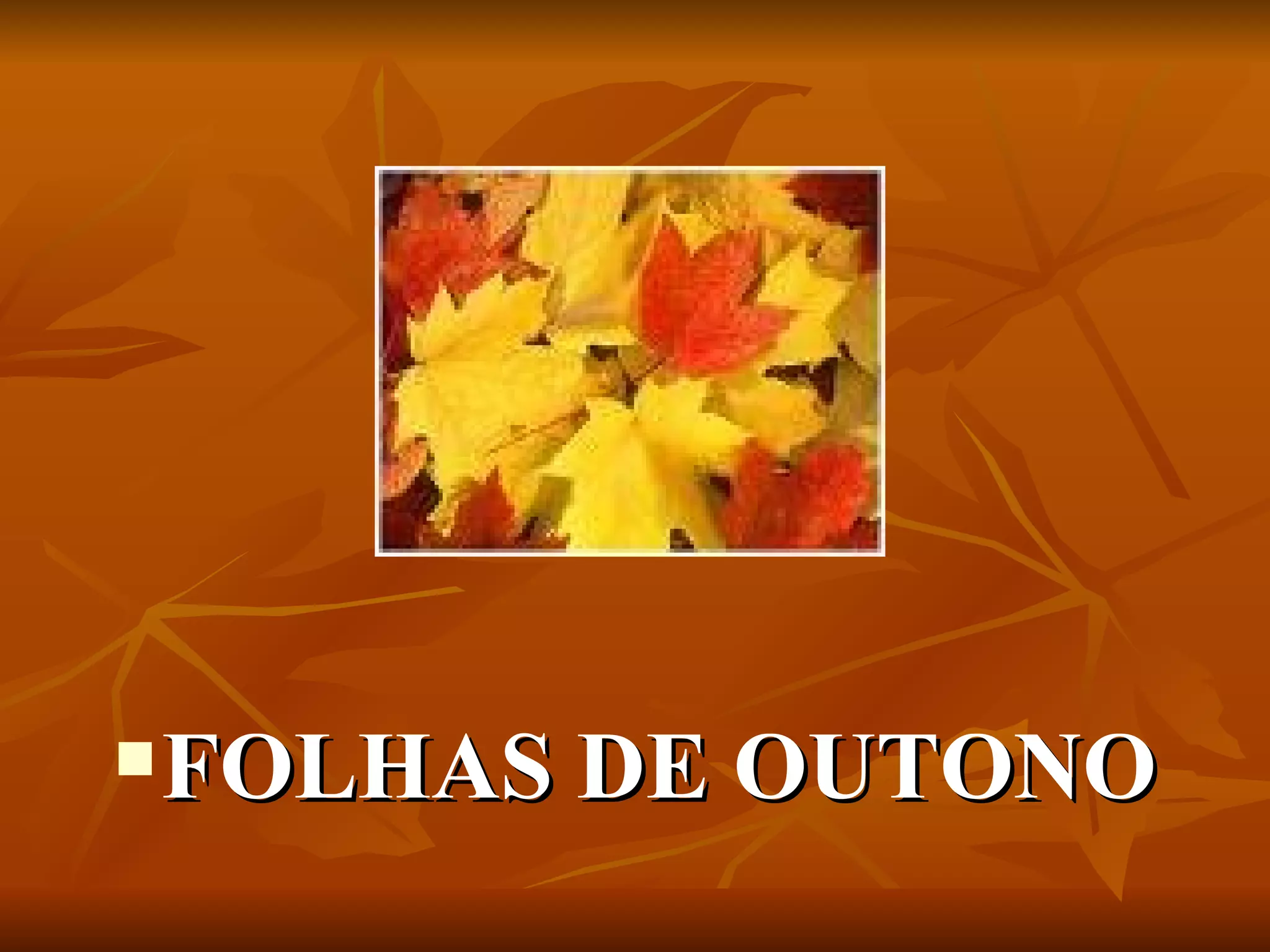 FOLHAS DE OUTONO 