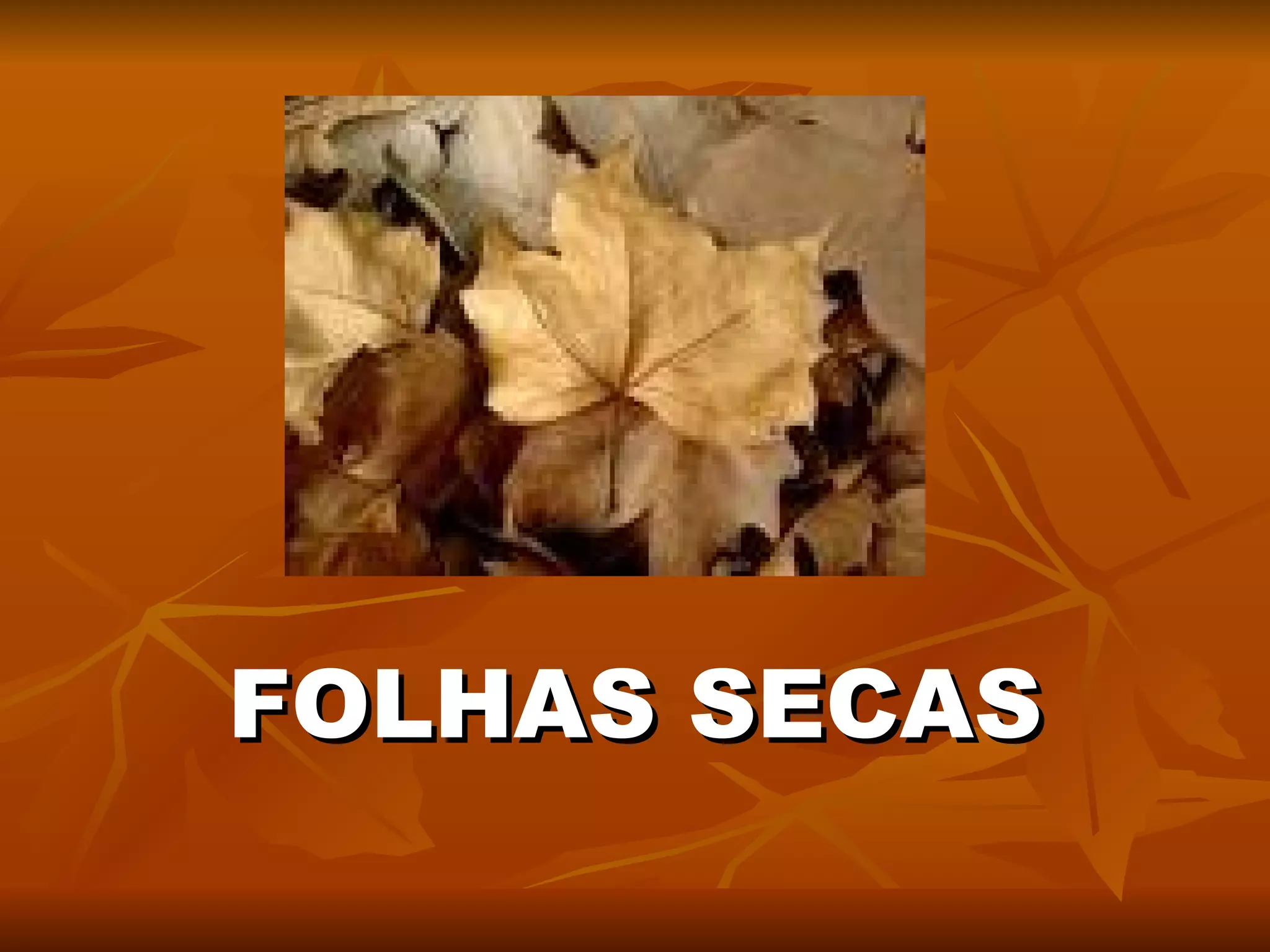 FOLHAS SECAS 