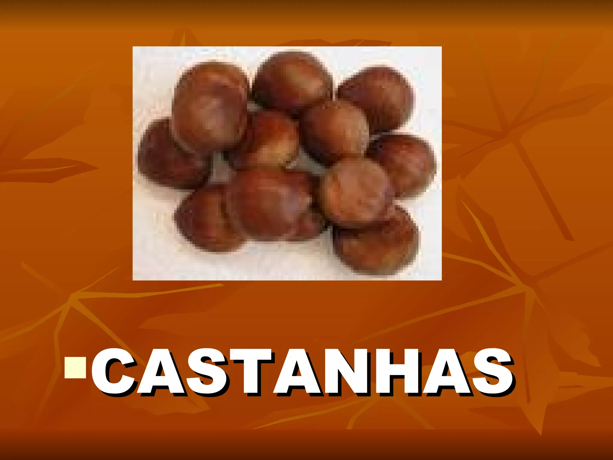 CASTANHAS 