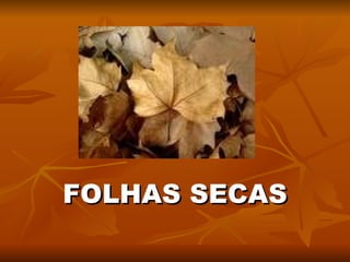 FOLHAS SECAS 