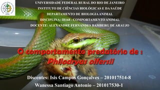 UNIVERSIDADE FEDERAL RURAL DO RIO DE JANEIRO
INSTITUTO DE CIÊNCIAS BIOLÓGICAS E DA SAÚDE
DEPARTAMENTO DE BIOLOGIAANIMAL
DISCIPLINA: IB168 - COMPORTAMENTO ANIMAL
DOCENTE: ALEXANDRE FERNANDES BAMBERG DE ARAUJO
Discentes: Isis Campos Gonçalves – 201017514-8
Wanessa Santiago Antonio – 201017530-1
 
