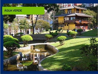 ÁGUA VERDE
 