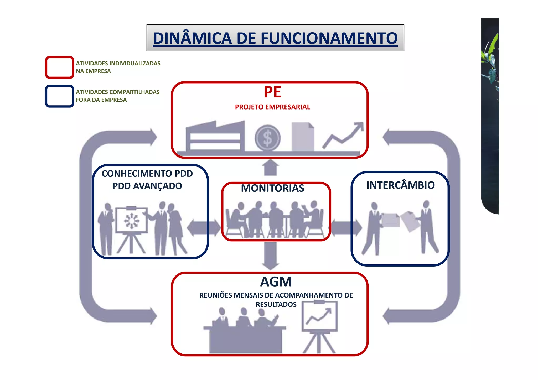 DINÂMICA DE FUNCIONAMENTO
ATIVIDADES INDIVIDUALIZADAS
NA EMPRESA


ATIVIDADES COMPARTILHADAS
FORA DA EMPRESA
                                             PE
                                      PROJETO EMPRESARIAL




        CONHECIMENTO PDD
          PDD AVANÇADO                 MONITORIAS                     INTERCÂMBIO




                                            AGM
                              REUNIÕES MENSAIS DE ACOMPANHAMENTO DE
                                            RESULTADOS
 