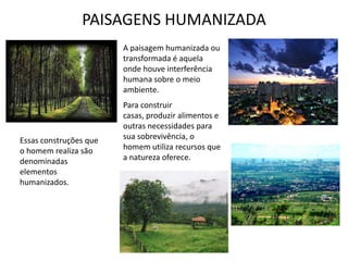 PAISAGENS HUMANIZADA
                        A paisagem humanizada ou
                        transformada é aquela
      ...