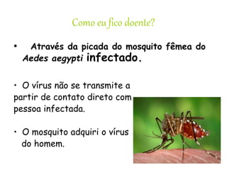 Como eu fico doente?
• Através da picada do mosquito fêmea do
Aedes aegypti infectado.
• O vírus não se transmite a
partir de contato direto com
pessoa infectada.
• O mosquito adquiri o vírus
do homem.
 