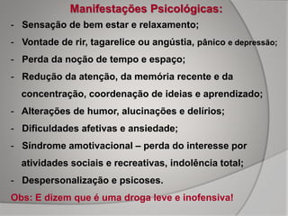 Manifestações Psicológicas:
- Sensação de bem estar e relaxamento;
- Vontade de rir, tagarelice ou angústia, pânico e depressão;
- Perda da noção de tempo e espaço;
- Redução da atenção, da memória recente e da
concentração, coordenação de ideias e aprendizado;
- Alterações de humor, alucinações e delírios;
- Dificuldades afetivas e ansiedade;
- Síndrome amotivacional – perda do interesse por
atividades sociais e recreativas, indolência total;
- Despersonalização e psicoses.
Obs: E dizem que é uma droga leve e inofensiva!
 