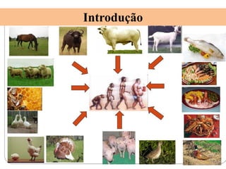 Introdução
 