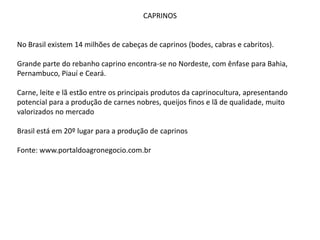 CAPRINOS
No Brasil existem 14 milhões de cabeças de caprinos (bodes, cabras e cabritos).
Grande parte do rebanho caprino encontra-se no Nordeste, com ênfase para Bahia,
Pernambuco, Piauí e Ceará.
Carne, leite e lã estão entre os principais produtos da caprinocultura, apresentando
potencial para a produção de carnes nobres, queijos finos e lã de qualidade, muito
valorizados no mercado
Brasil está em 20º lugar para a produção de caprinos
Fonte: www.portaldoagronegocio.com.br
 