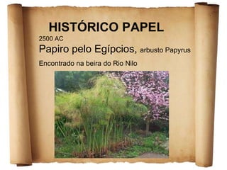 HISTÓRICO PAPEL 2500 AC  Papiro pelo Egípcios,  arbusto Papyrus Encontrado na beira do Rio Nilo 
