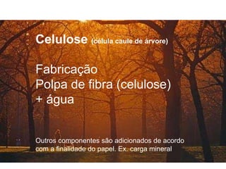 Celulose  (célula caule de árvore) Fabricação Polpa de fibra (celulose) + água Outros componentes são adicionados de acordo  com a finalidade do papel. Ex. carga mineral 