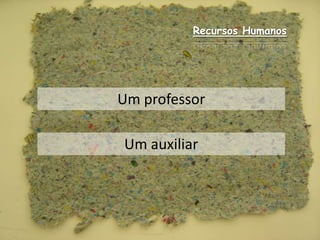 Recursos HumanosUm professorUm auxiliar